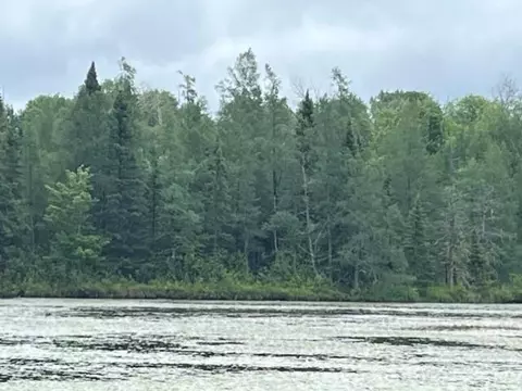Nnnn E Stone Lake Rd E, Zim, MN 55738