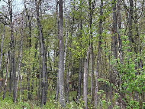 19749 469th St, Mcgregor, MN 55760 photo 41