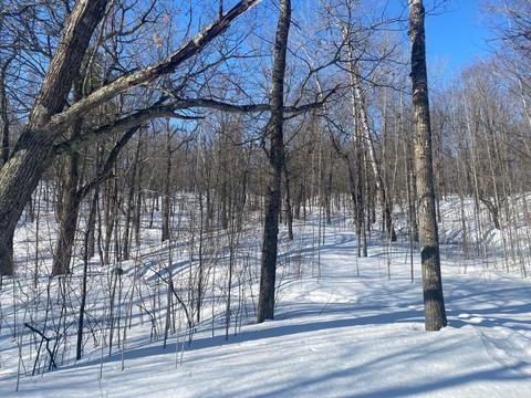 Tbd W. Chub Lake, Twin Lakes Twp, MN 55718