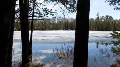 tbd Lake Four Rd NE, Ely, MN 55731