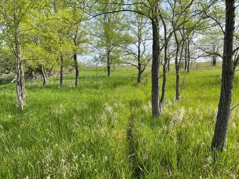 Nnn Hwy 29, De Graff, MN 56265