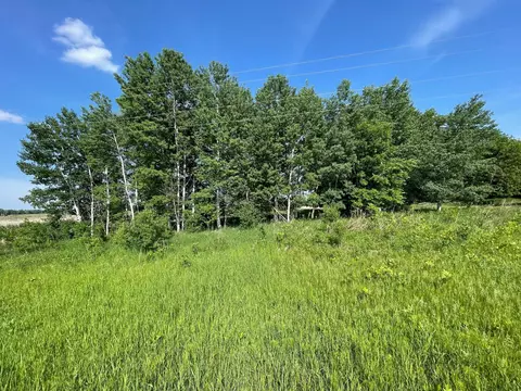 Nnn Dove Rd, Darling Twp, MN 56475