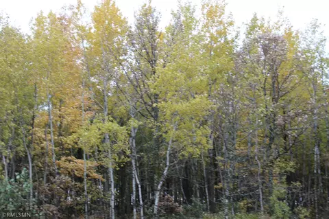 19 Nnn Cr 2, Brainerd, MN 56401