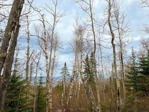 Nnnn Mount Rockwood Road, Silver Bay, MN 55614