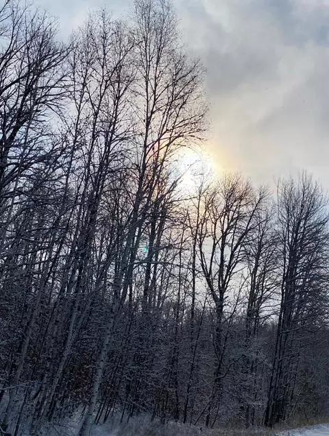 20772 Toad Mountain Rd, Osage, MN 56570