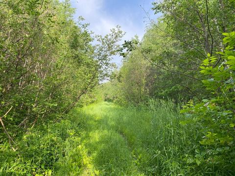 Nn 330th Street, Bradbury Twp, MN 56359