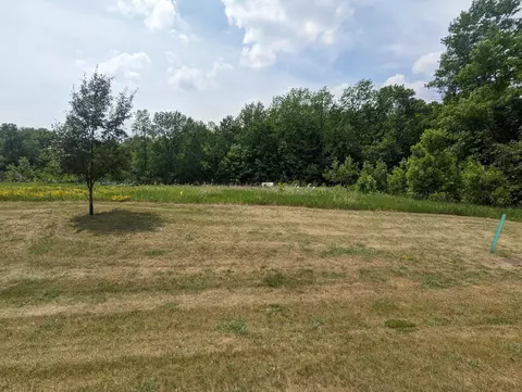Null Lot 1 Block 1 Geneva Golf Club Drive, Alexandria, MN 56308