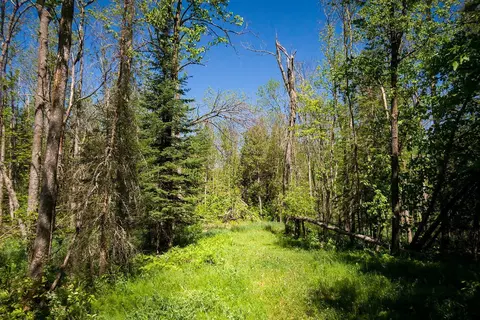 tbd Coontail Dr NE, Outing, MN 56662
