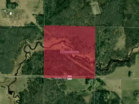 49 Nn Genew Rd, Floodwood Twp, MN 55736