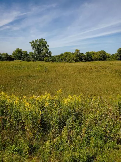 Nnn 119th St, Grant, MN 55082