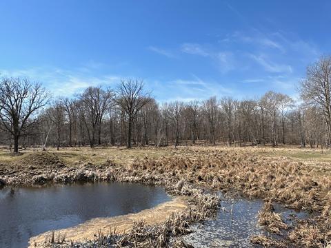 Nn 200th Street, Hayland Twp, MN 56353