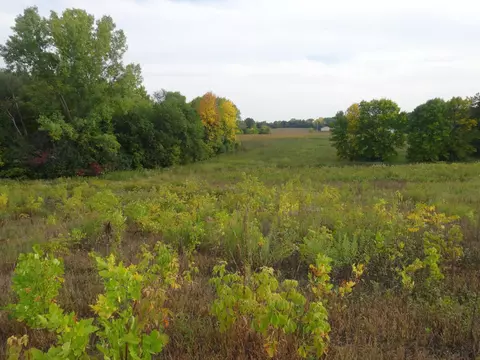 11 Nnn County Road 8 NW, Maple Lake, MN 55358