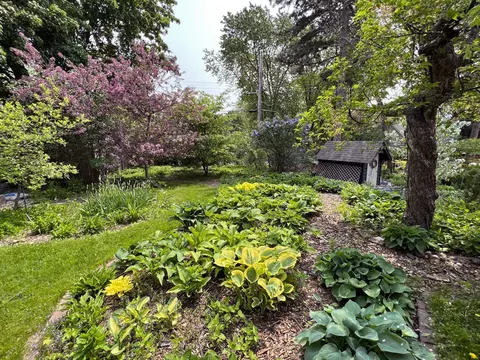 1384 E Como Blvd, Saint Paul, MN 55117 photo 46