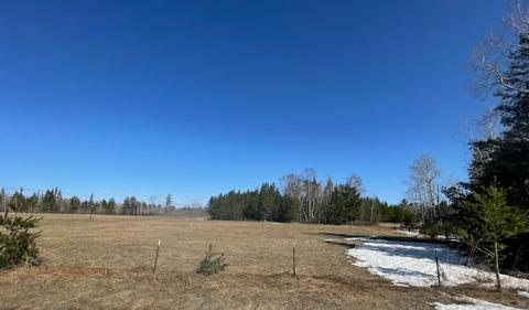 tbd Lot B Popple Dr SE, Frohn Twp, MN 56601