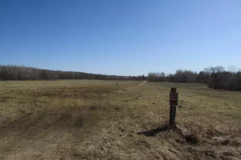 162 Acres 92nd St SW, Motley, MN 56466