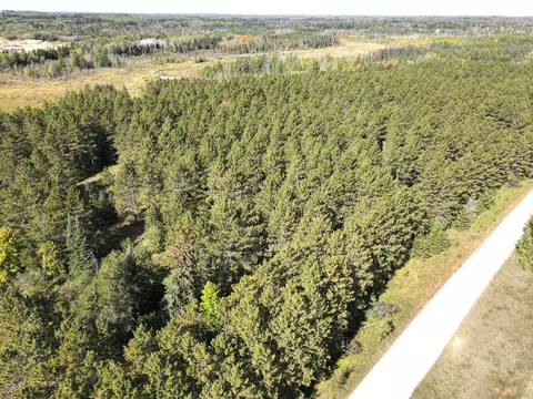 tbd State 371 NW, Backus, MN 56435