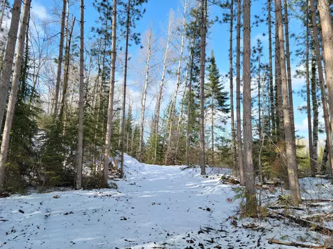 tbd County Road 340, Bigfork, MN 56628