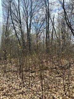 Nnn Marble Dr, Cushing Twp, MN 56443