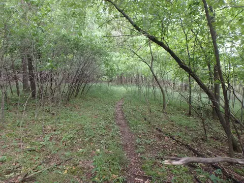 X 231st Street, Laketown Twp, WI 54006
