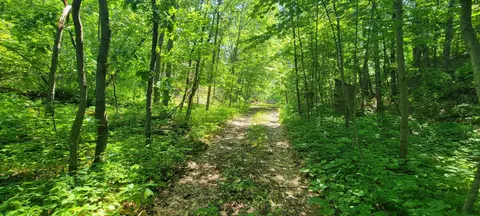 16917 Woodpecker Rd, Ironton, MN 56455