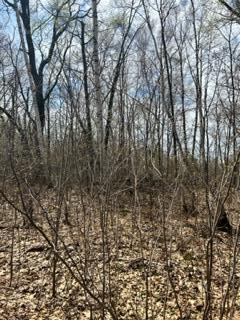 Nnn Opal Ln, Cushing Twp, MN 56443