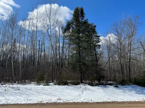 Tbd Lot 8 Blk 1 River View Drive, Grand Rapids, MN 55744