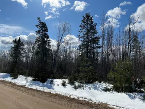 Tbd Lot 9 Blk 1 River View Dr, Grand Rapids, MN 55744