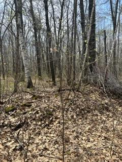 Nnn Marble Dr, Cushing Twp, MN 56443