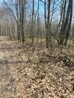 Nnn Marble Dr, Cushing Twp, MN 56443