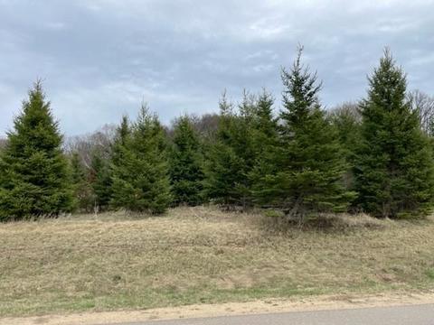 888 Gavin Pass, Hudson Twp, WI 54016