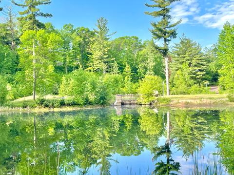 15740 Old Stonebridge Ct, Brainerd, MN 56401 photo 9