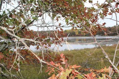 lot7 58xx Lake 26 Rd, Swiss Twp, WI 54830