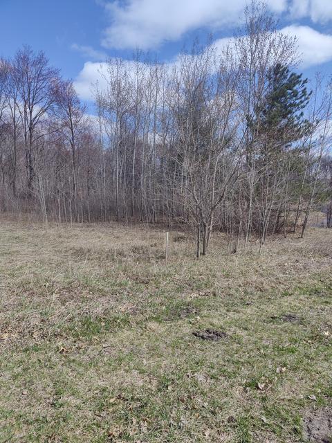 16127 Austin St NE, Ham Lake, MN 55304