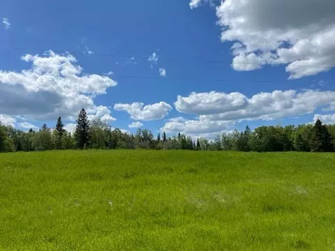 tbd 221st Ave, Bagley, MN 56621