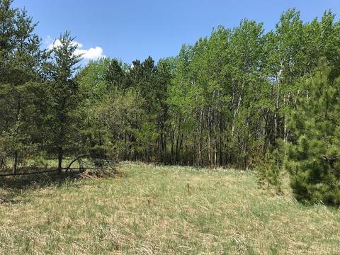 Tbd State Hwy 34, Park Rapids, MN 56470
