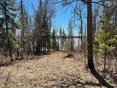 Nnn Busties Lake Drive, Effie, MN 56639