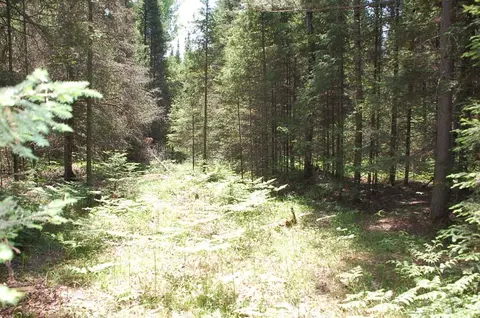 Nnn Twin Lakes Loop 45, White Twp, MN 55705