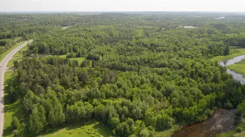 View/Area - 1161 Highway 169, Ely, MN 55731 photo 5 of 7