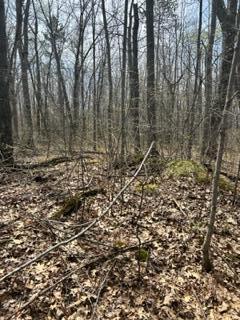 Nnn Sapphire Lane, Cushing, MN 56443