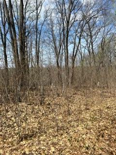 Nnn Sapphire Lane, Cushing, MN 56443