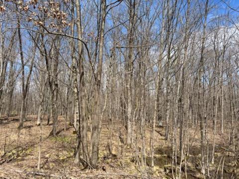 866 29th Ave, Lakeland Twp, WI 54813