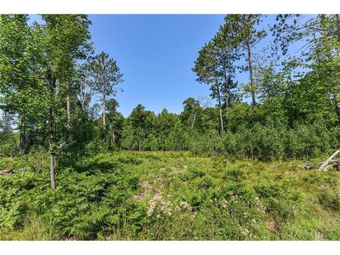 L2b4 Drahos, Brainerd, MN 56401 photo 5