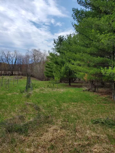 Nnnn 44th Avenue, Alden Twp, WI 54001