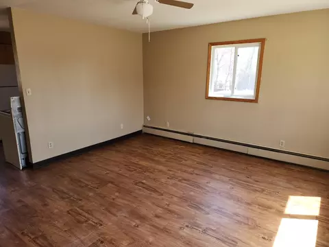 204 Cedar Ave NE, Wadena, MN 56482 photo 2