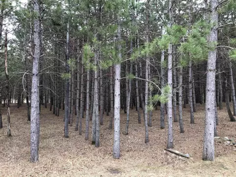1015 Sunset Loop #20, Park Rapids, MN 56470 photo 17
