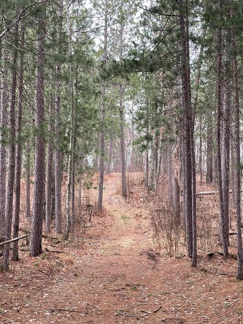 Tbd 24th Street Sw, Pine River, MN 56474