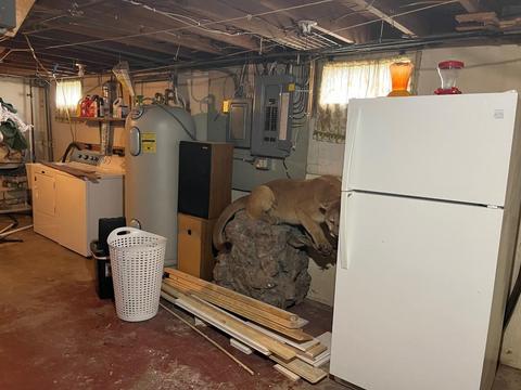 309 3rd St, Danube, MN 56230 photo 30