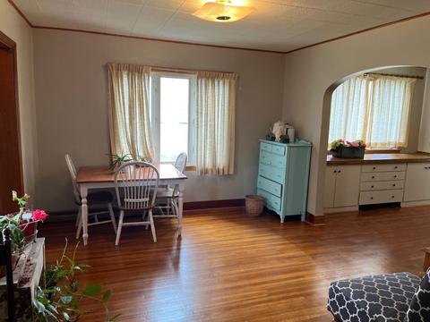 309 3rd St, Danube, MN 56230 photo 15