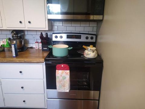 309 3rd St, Danube, MN 56230 photo 6