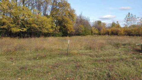 1501 Cedar Ln, Litchfield, MN 55355